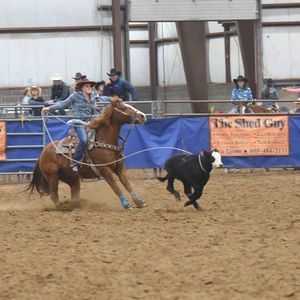 Meet your Posher, Whitney